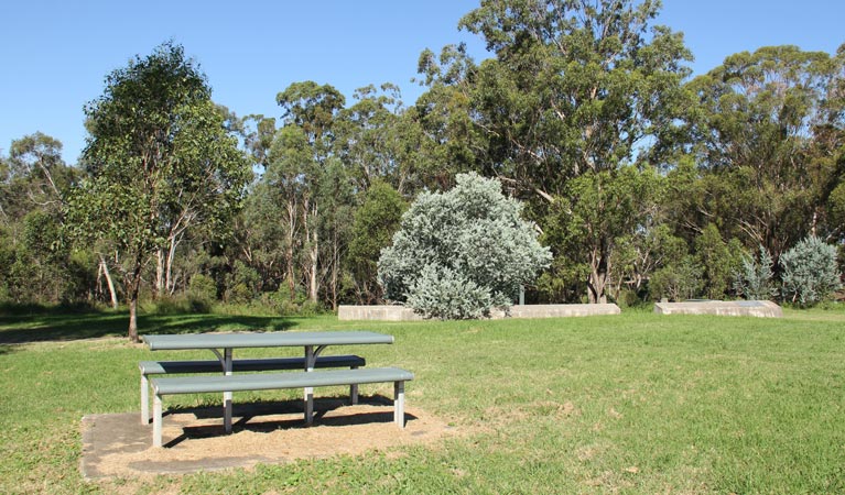 Picnic area, Leacock Regional Park. Photo: John Spencer &copy; DPIE