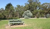 Picnic area, Leacock Regional Park. Photo: John Spencer &copy; DPIE