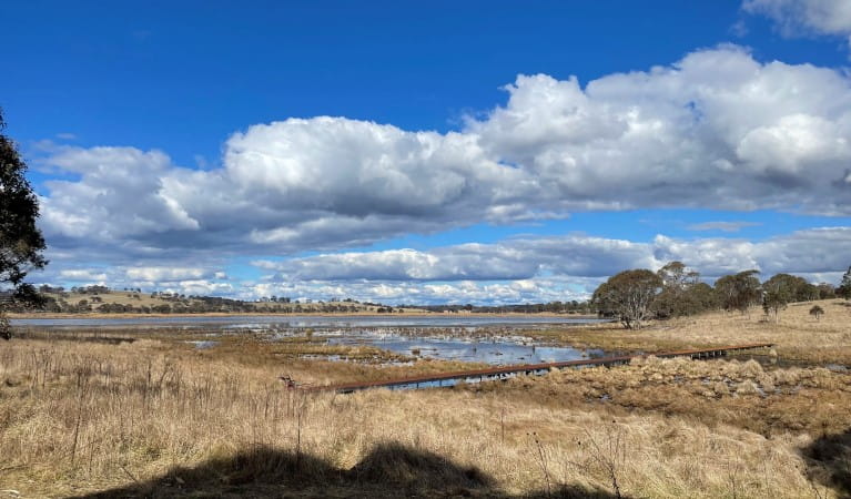 The view across the lagoon and surrounding wetlands at Lagoon Circuit walking track in Little Llangothlin Nature Reserve. Photo: Annabelle Gerrie &copy; DPE
