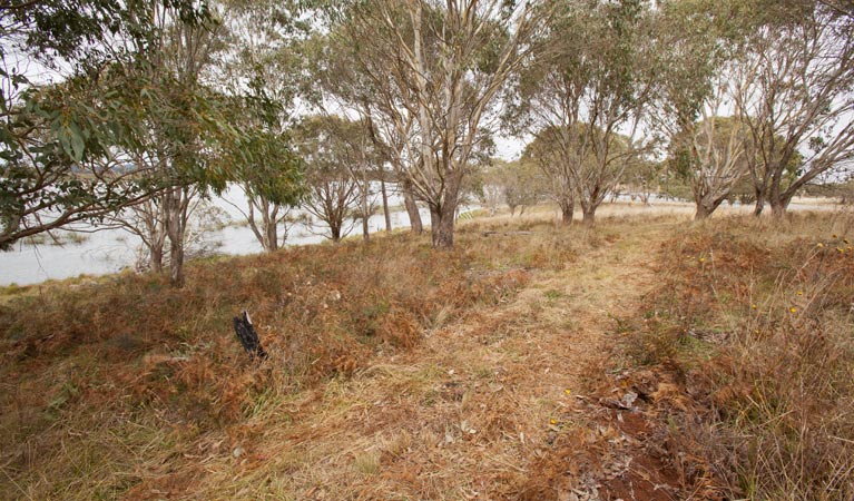 Lagoon Circuit walking track, Little Llangothlin Nature Reserve. Photo: Rob Cleary &copy; OEH