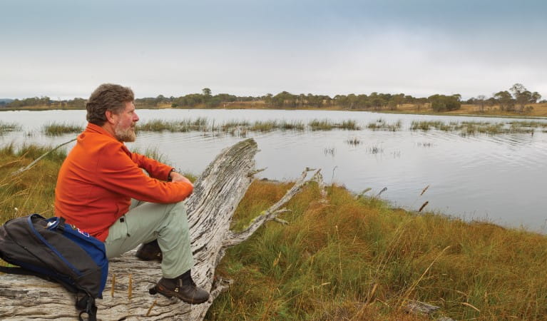 A man sits on a log, looking out over the lagoon along Lagoon Circuit walking track in Little Llangothlin Nature Reserve. Photo: Rob Cleary &copy; OEH
