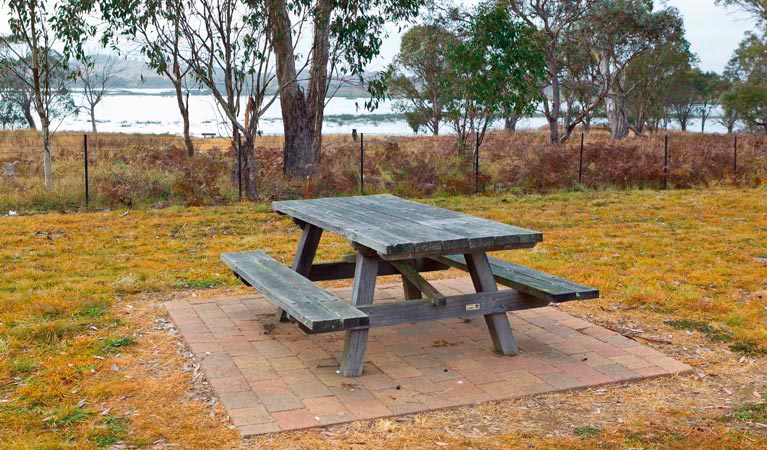 Little Llangothlin picnic area, Little Llangothlin Nature Reserve. Photo: Rob Cleary &copy; OEH