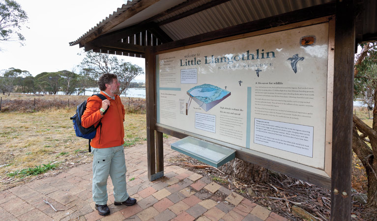 Little Llangothlin picnic area, Little Llangothlin Nature Reserve. Photo: Rob Cleary &copy; OEH