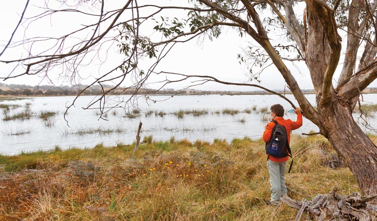 Little Llangothlin Nature Reserve. Photo: Robert Cleary &copy; DPIE