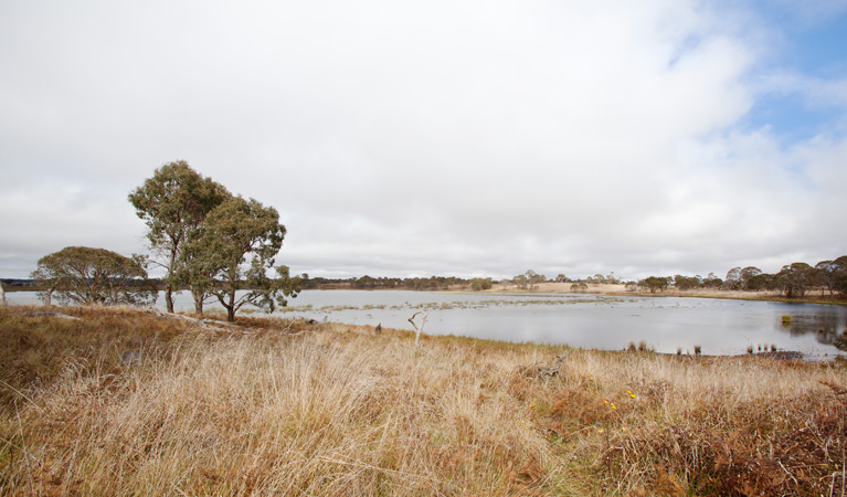 Little Llangothlin Nature Reserve. Photo: Robert Cleary &copy; DPIE
