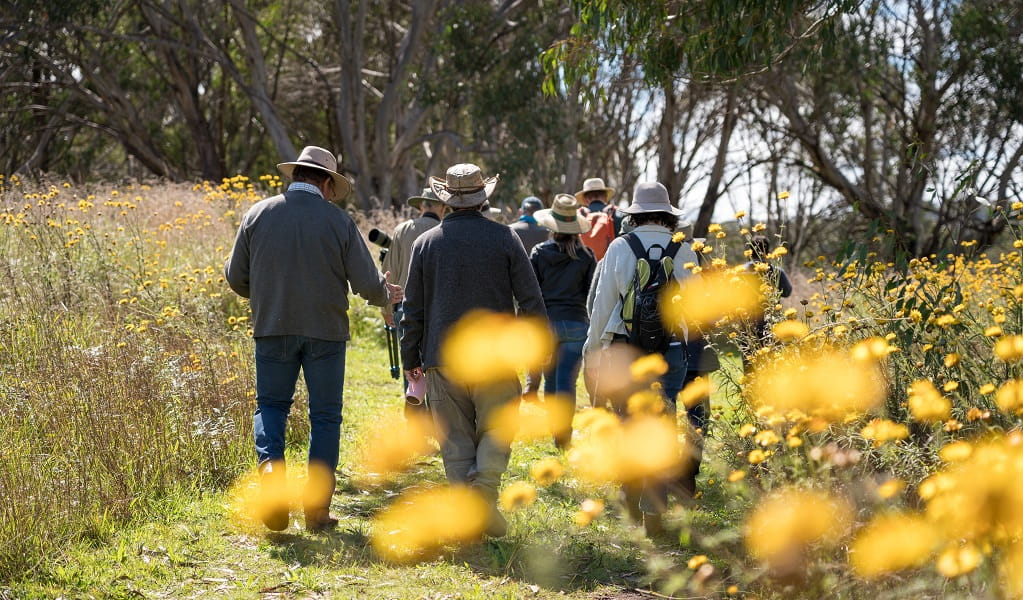 A group of bushwalkers setting out in the sunshine, Little Llangothlin Nature Reserve. Photo: DPE &copy; DPE