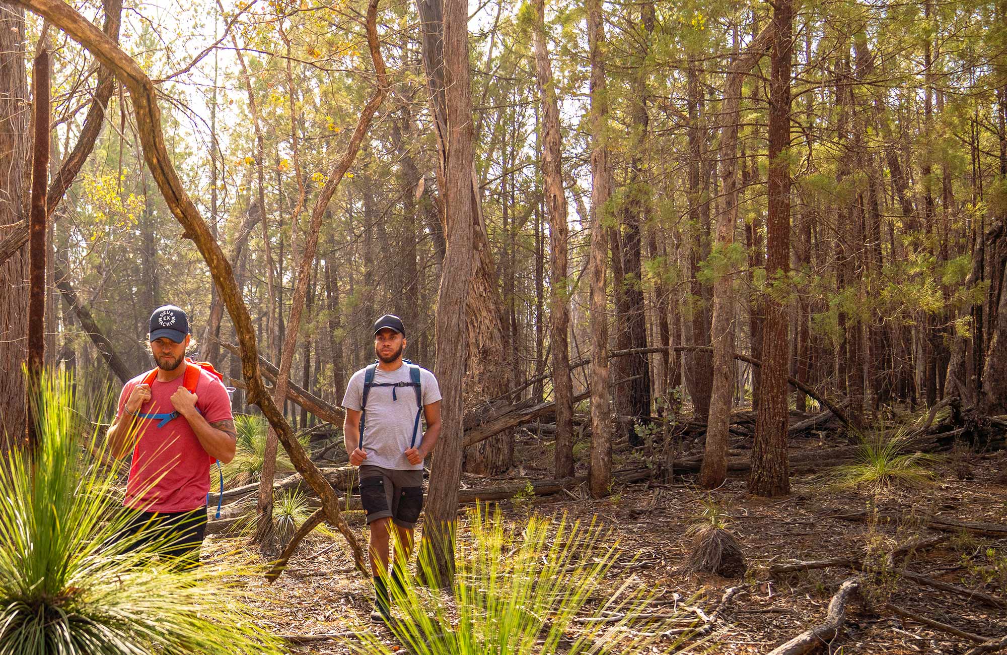 Two men walk through woodland past grass trees in Livingstone National Park. Photo: Robert Mulally/DPIE