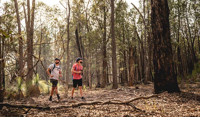 Two men walk through woodland in Livingstone National Park. Photo: Robert Mulally/DPIE