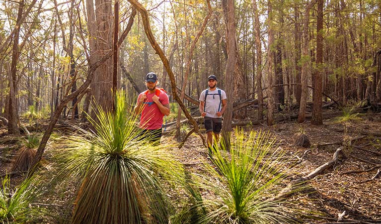 Two men walk through woodland past grass trees in Livingstone National Park. Photo: Robert Mulally/DPIE