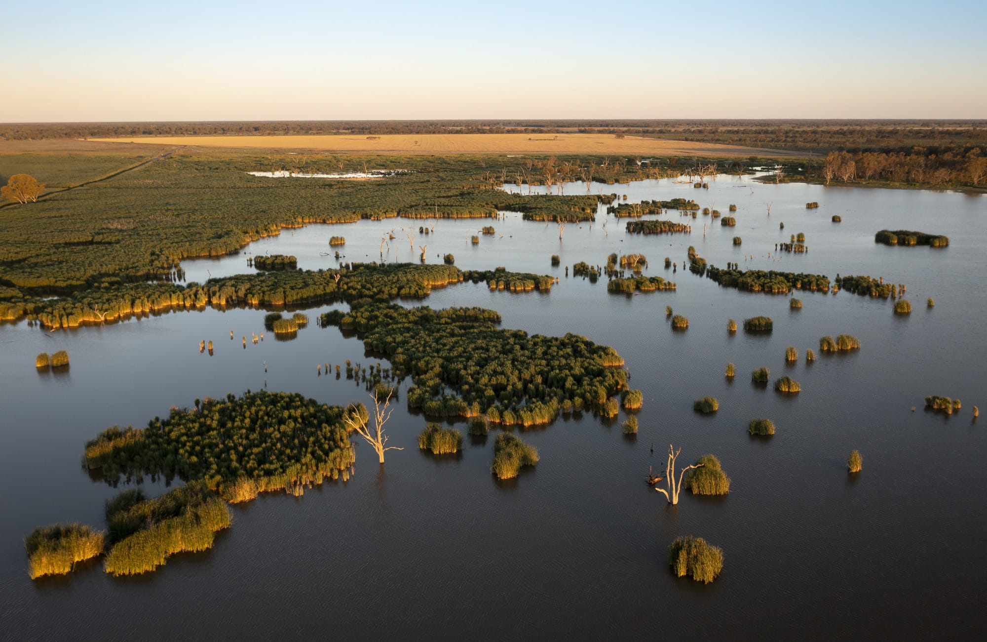 Aerial view of Southern Macquarie Marshes. Photo: John Spencer &copy; DPE