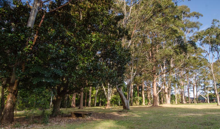 Gum trees and lawn, Macquarie Nature Reserve. Photo: John Spencer/NSW Government