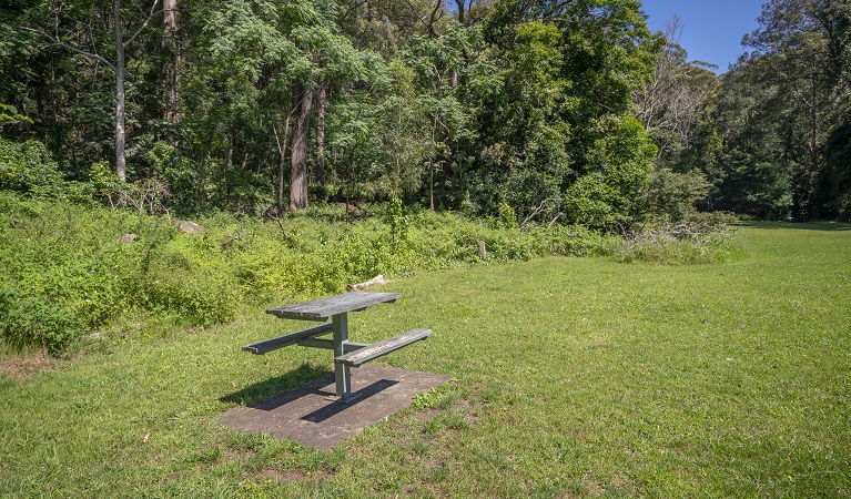 Picnic table at Cascades picnic area, Macquarie Pass National Park. Photo: John Spencer &copy;DPIE