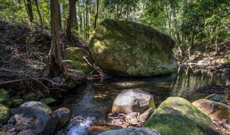 A pool surrounded by rainforest along Cascades walk in Macquarie Pass National Park. Photo: John Spencer &copy; DPE