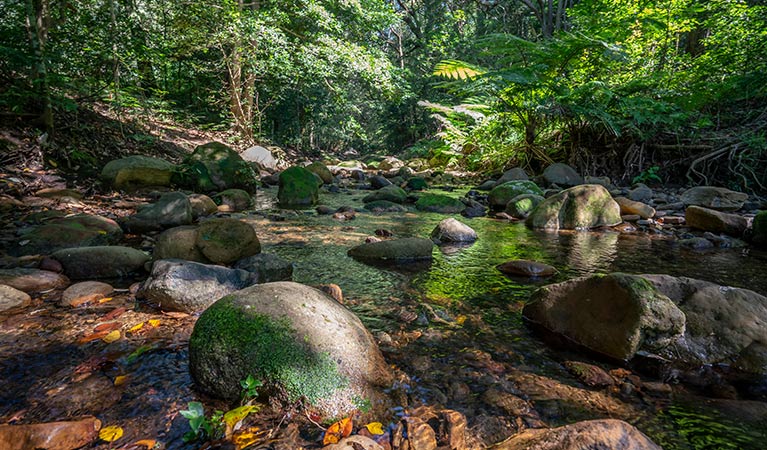 A rocky creek in Macquarie Pass National Park. Photo: John Spencer &copy; DPIE