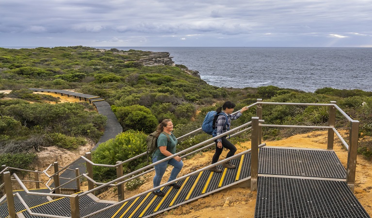 Walkers walking up steps on Western Escarpment walking track. Photo: John Spencer &copy; DPE