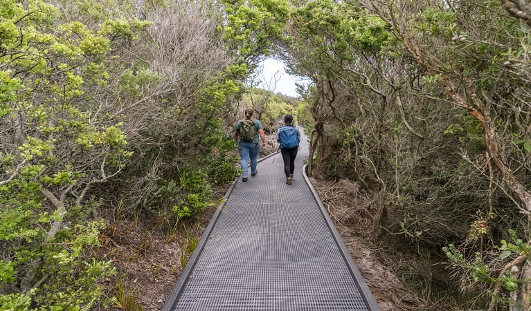 Walkers in Malabar Headland National Park. Photo: John Spencer &copy; DPE