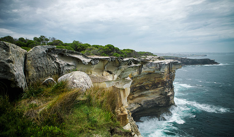 Dramatic sandstone cliffs, Malabar Headland National Park. Photo: Chad Weston/OEH