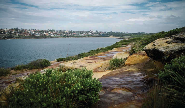 View of Malabar from Malabar Headland National Park. Photo: Chad Weston/OEH