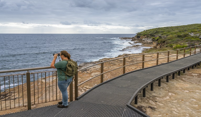 A visitor whale watching in Malabar Headland National Park. Photo: John Spencer &copy; DPE