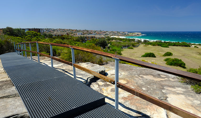 Boardwalk and Maroubra Beach views along Western Escarpment walking track, Malabar Headland National Park. Photo: E Sheargold &copy; OEH