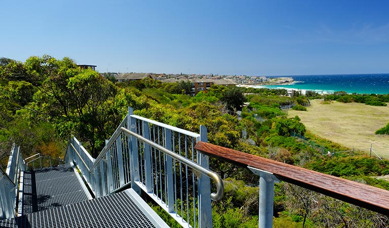 Stairs down to Maroubra Beach, from Western Escarpment walking track, Malabar Headland National Park. Photo: E Sheargold &copy; OEH