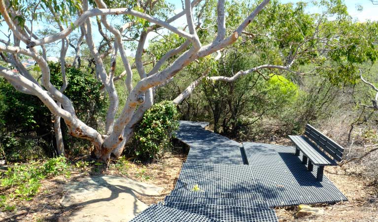 Seat along Western Escarpment walking track, Malabar Headland National Park. Photo: E Sheargold &copy; OEH