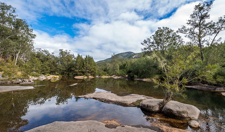 Mann River campground and picnic area, Mann River Nature Reserve. Photo: John Spencer