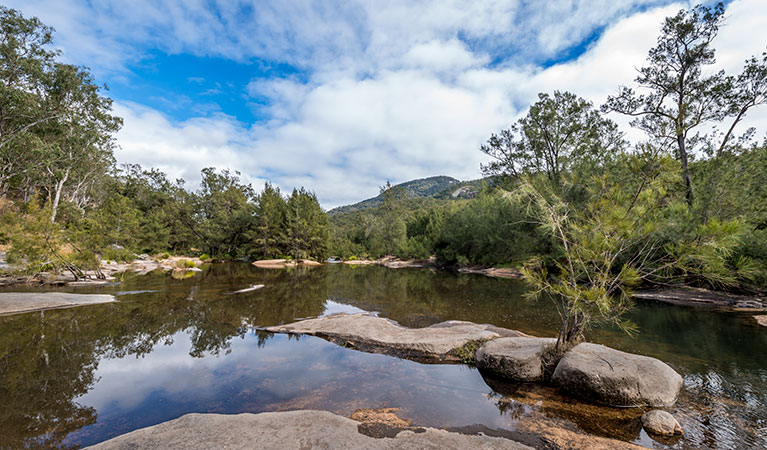 Mann River campground and picnic area, Mann River Nature Reserve. Photo: John Spencer &copy; OEH