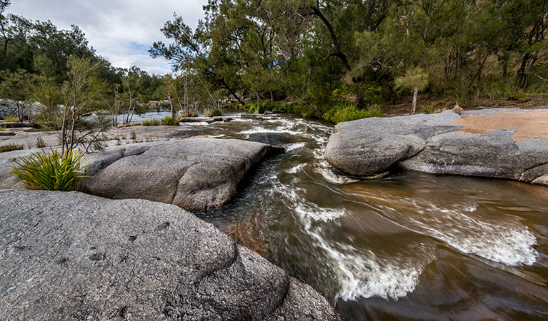 Mann River campground and picnic area, Mann River Nature Reserve. Photo: John Spencer &copy; OEH