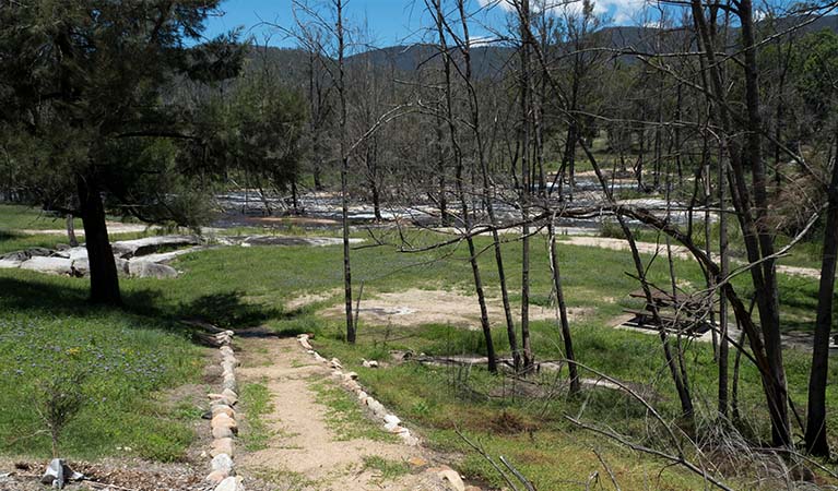 Mann River campground and picnic area, Mann River Nature Reserve. Photo credit: Leah Pippos &copy; DPIE