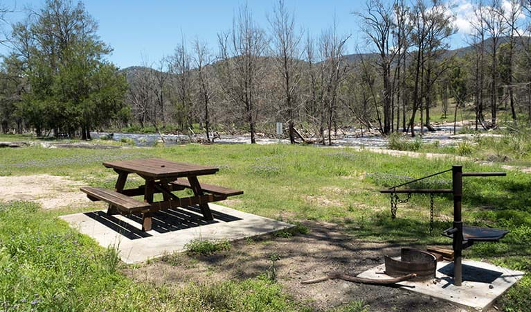 Mann River campground and picnic area, Mann River Nature Reserve. Photo credit: Leah Pippos &copy; DPIE