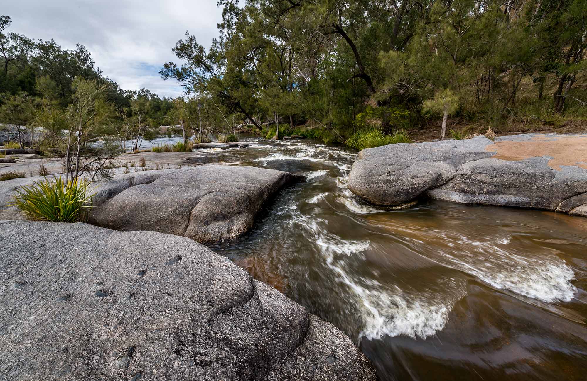 Mann River campground and picnic area NSW National Parks