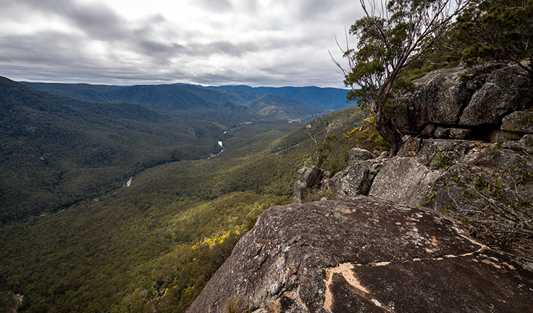 Mann River Nature Reserve. Photo: N Holznagel