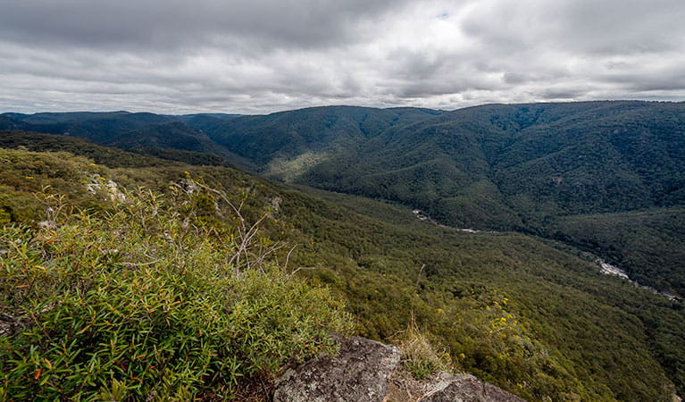 Tommys Rock lookout and walking track, Mann River Nature Reserve. Photo: John Spencer &copy; OEH