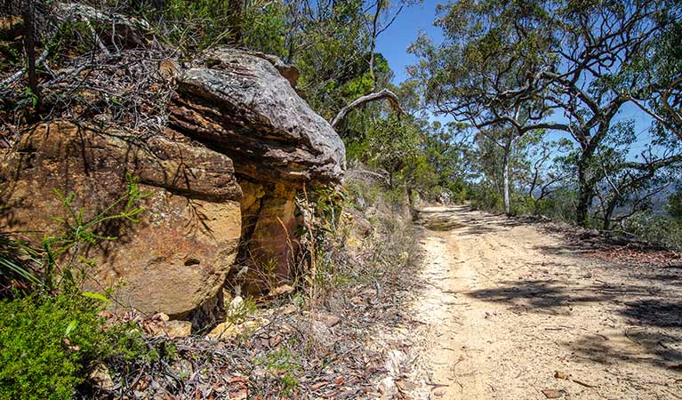 The path along Canoelands Ridge horse riding trail in Marramarra National Park. Photo: John Spencer &copy; DPIE