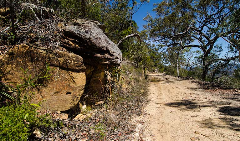 Marramarra National Park, Canoelands Ridge track. Photo: John Spencer &copy; OEH