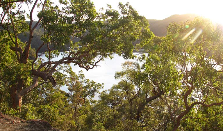 Sunrise view through angophora trees to Berowra Creek, from Coba Ridge to Collingridge Point walking track, Marramarra National Park. Photo: Tegan Burton