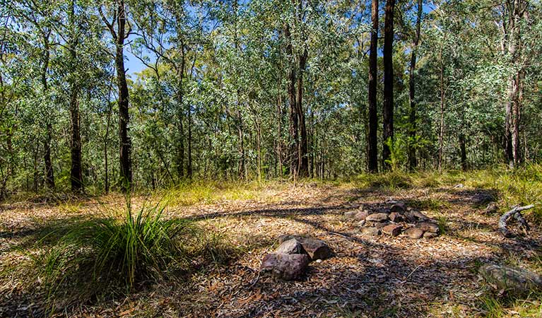 Marramarra National Park, Gentlemans Halt campground. Photo: John Spencer/NSW Government