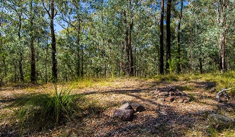 Marramarra National Park, Gentlemans Halt campground. Photo: John Spencer/NSW Government