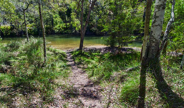 Marramarra National Park, Marramarra Creek campground. Photo: John Spencer/NSW Government