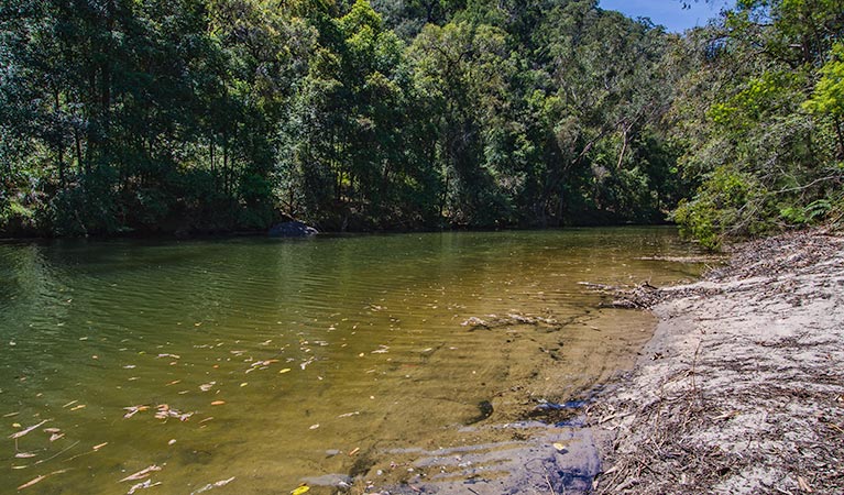 Marramarra National Park, Marramarra Creek campground. Photo: John Spencer/NSW Government