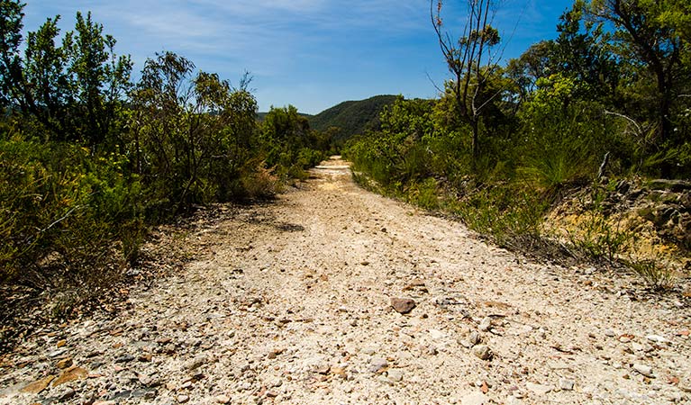 Marramarra National Park, Marramarra Ridge trail. Photo: John Spencer