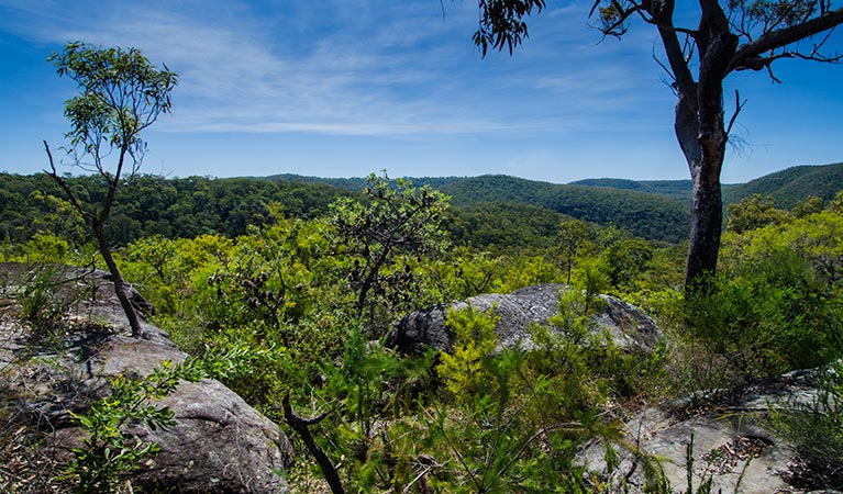 Marramarra National Park, Marramarra Ridge trail. Photo: John Spencer