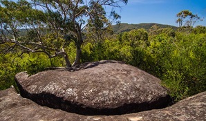 Marramarra National Park, Marramarra Ridge trail. Photo: John Spencer &copy; OEH