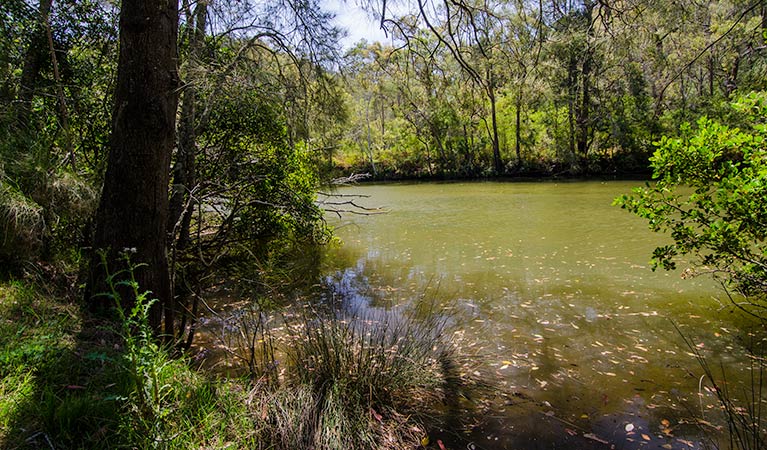 Marramarra National Park, Marramarra Ridge trail. Photo: John Spencer