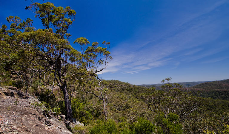 Marramarra National Park. Photo: John Spencer/NSW Government