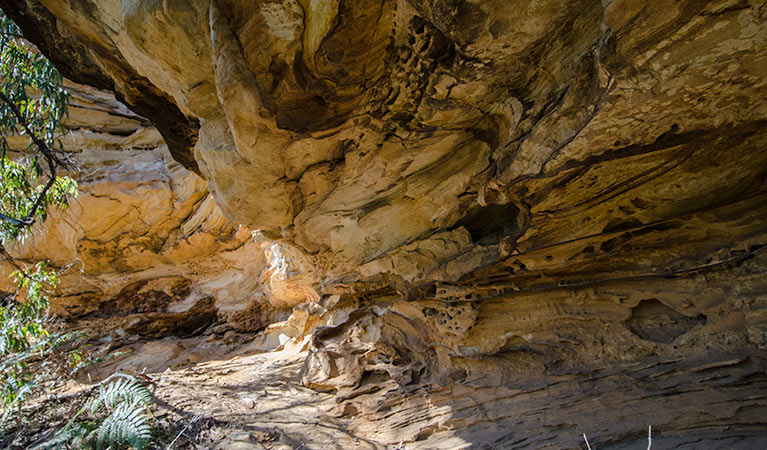 Marramarra National Park. Photo: John Spencer/NSW Government