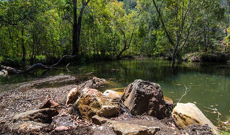 Marramarra National Park. Photo: John Spencer/NSW Government