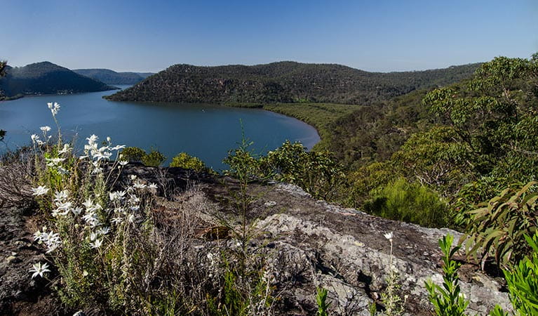 Marramarra National Park. Photo: John Spencer/NSW Government
