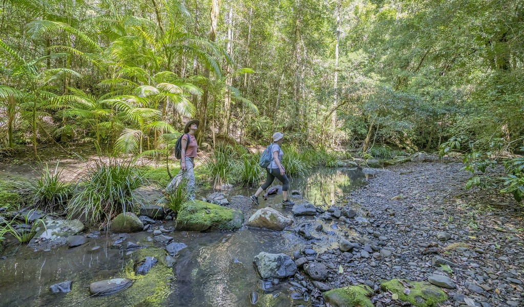 Two hikers crossing a river on Byrrill Creek walking track, Mebbin National Park. Photo: John Spencer &copy; DPE